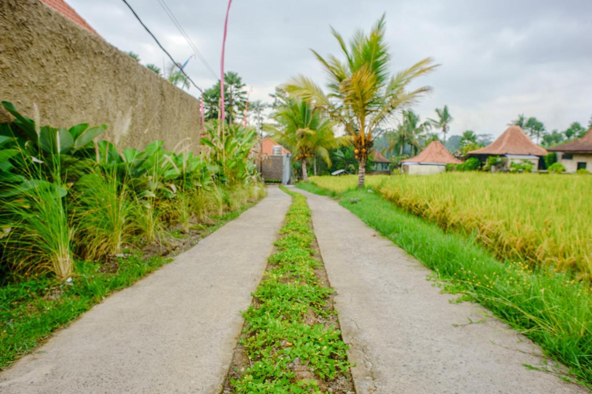 Umakelod Sebatu Villas Ubud Eksteriør billede
