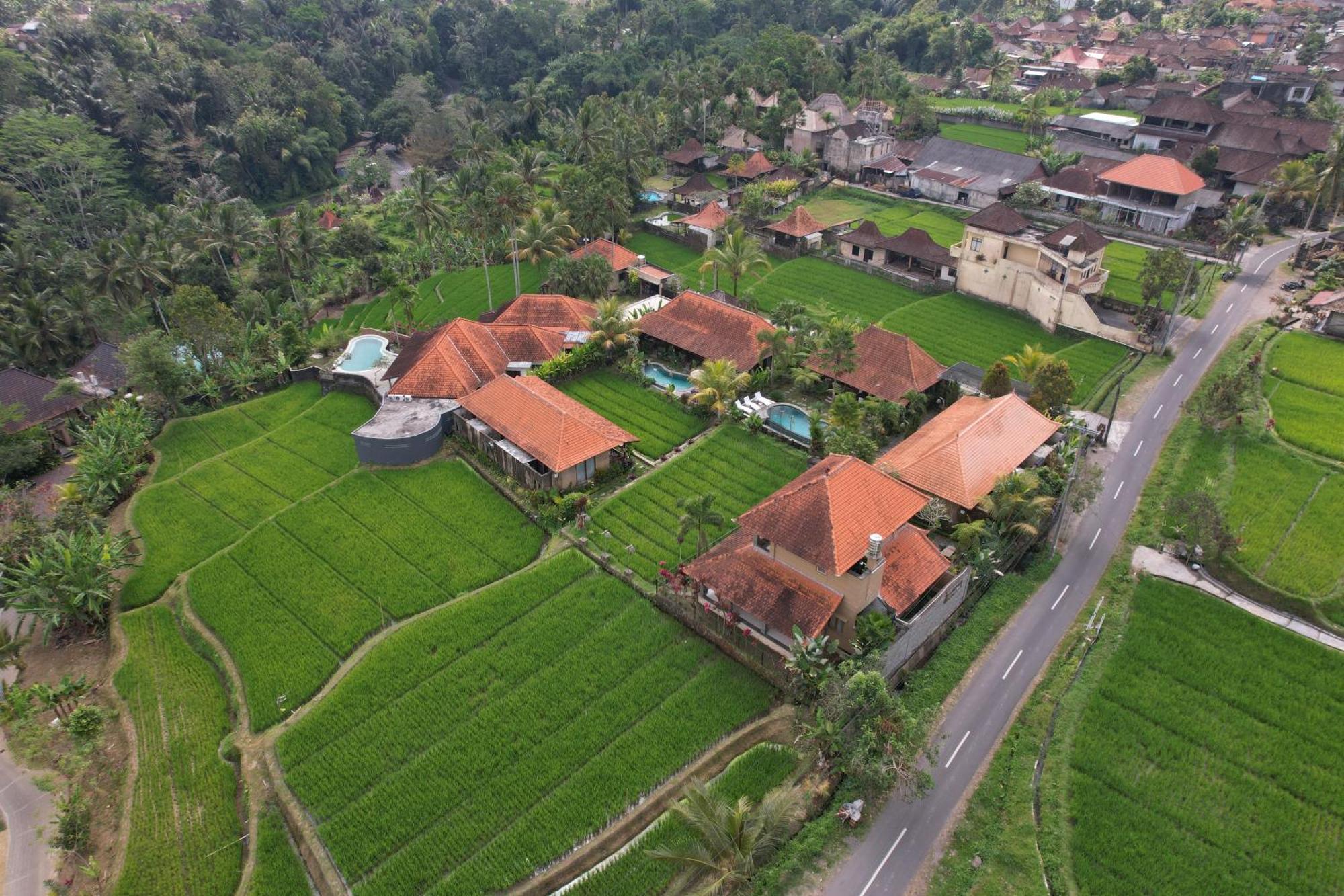 Umakelod Sebatu Villas Ubud Eksteriør billede