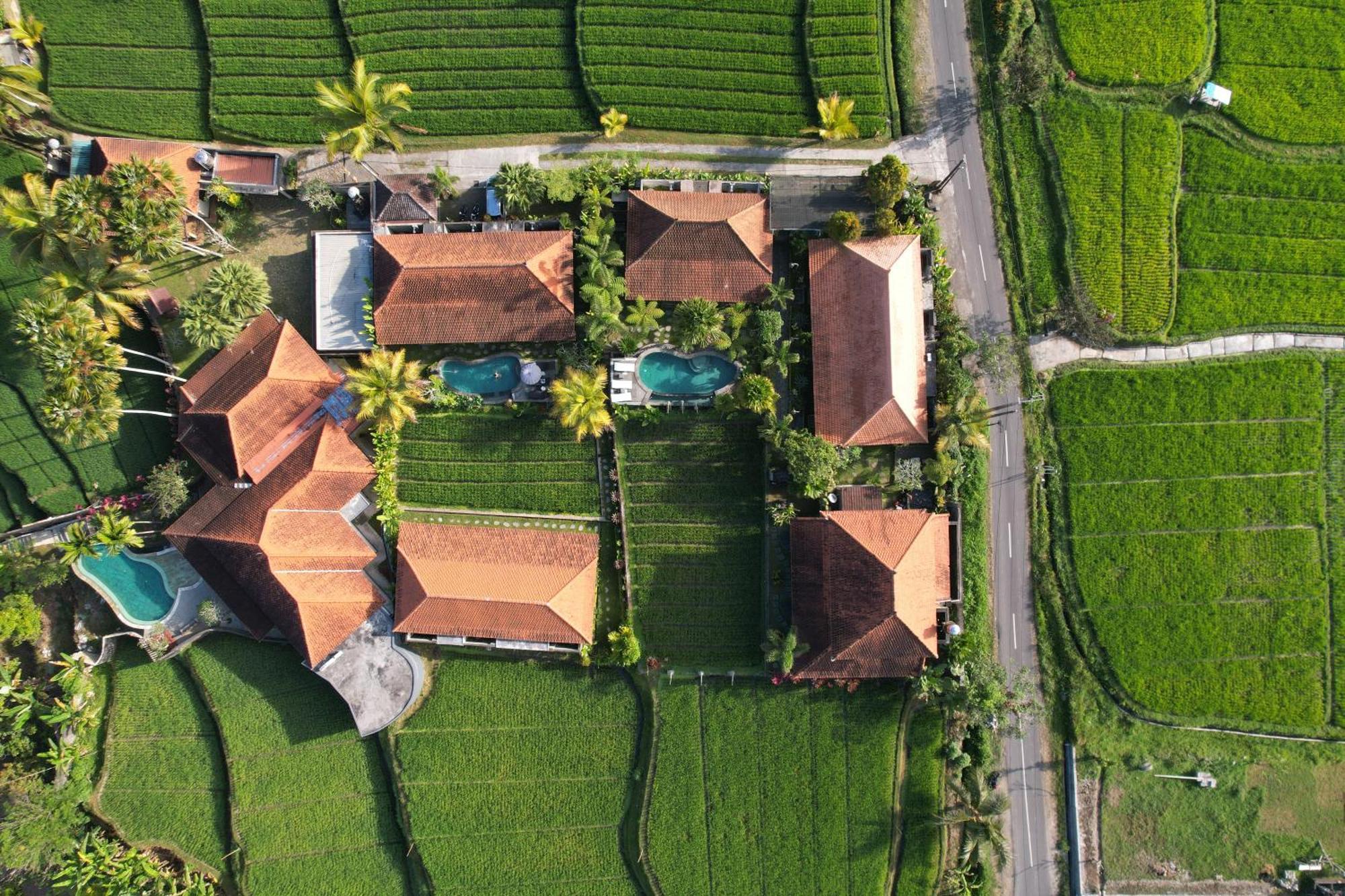 Umakelod Sebatu Villas Ubud Eksteriør billede